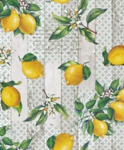 tovaglia fantasia limoni 6006/01