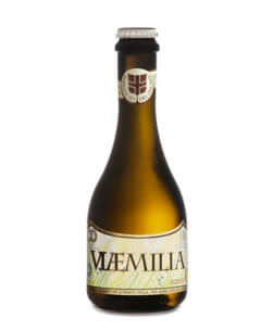 birra artigianale Viaemilia