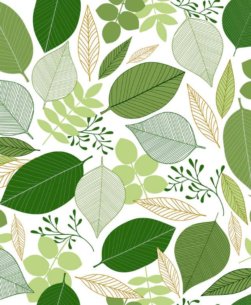 foglie-stilizzate-verdi